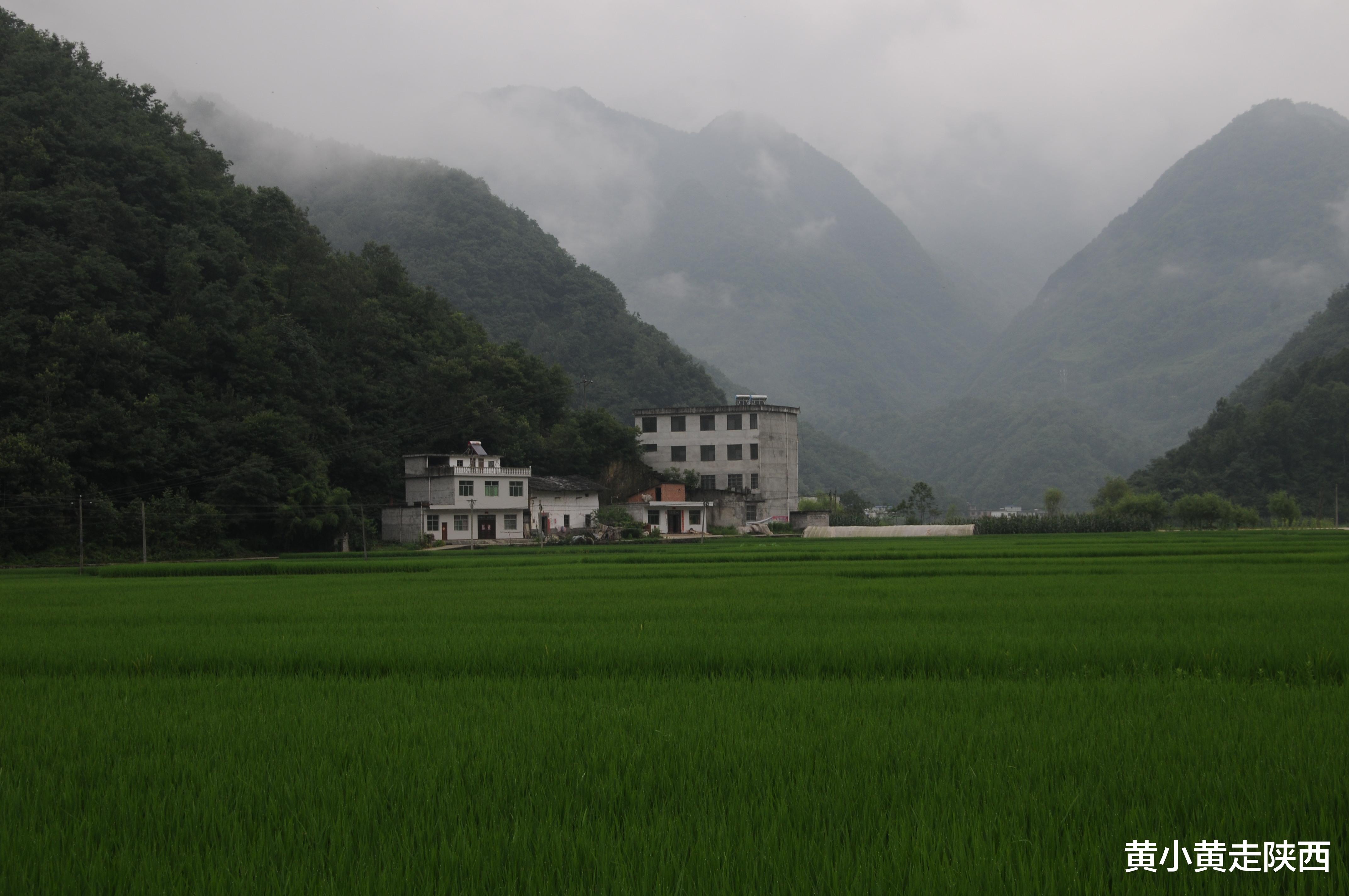 王莽|全境神级美景！陕西夏季避暑休闲最美小镇之一，腾云驾雾超凉爽