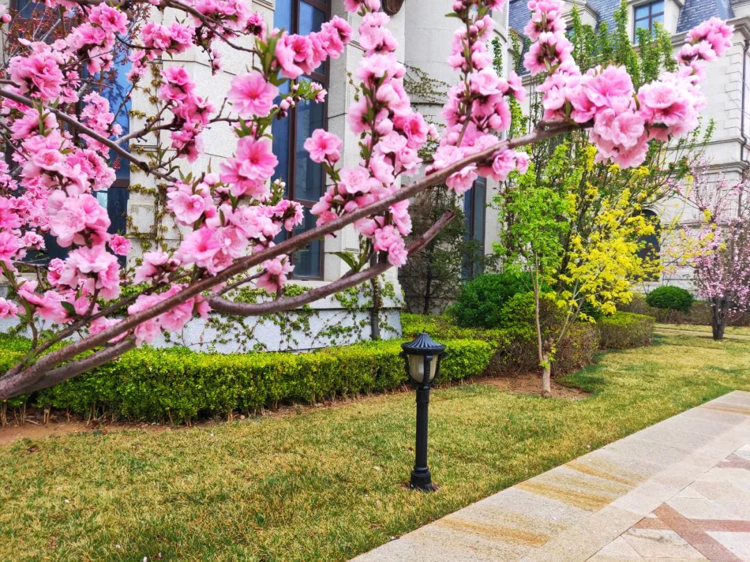 水城|大连景点丨威尼斯水城