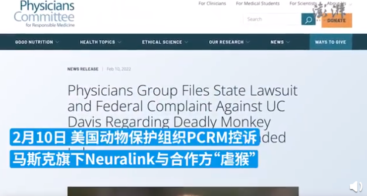 伊隆·马斯克|马斯克公司被爆“虐猴”,23只死了一大半?网友吵翻……