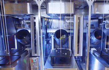 机器人|各类机器人各司其职，实力演绎“科技冬奥”！