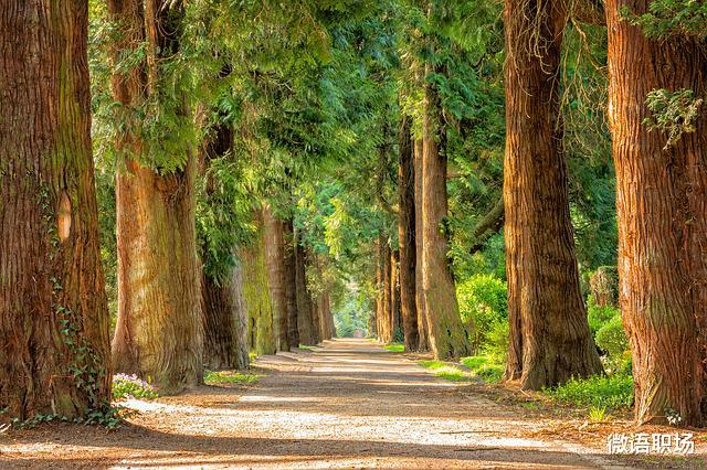 董宇辉|董宇辉写给俞敏洪的一封简讯,隐藏了职场人容易忽视的误区