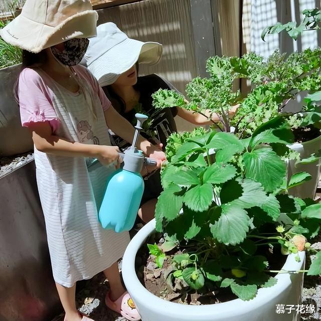 章子怡|43岁章子怡晒日常生活,带娃、种菜,越来越接地气,网友:她变了