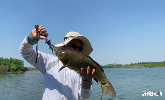 饵料|鲫霸!江苏钓鱼人水库起“鲫鱼王”,已经突破生长极限了?