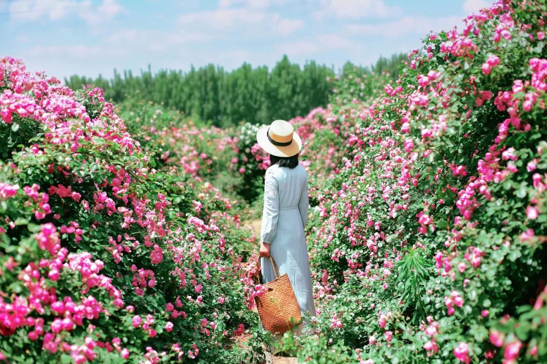 张馨予|离开李晨8年后，张馨予4000万后花园火了：终于活成了别人羡慕的模样