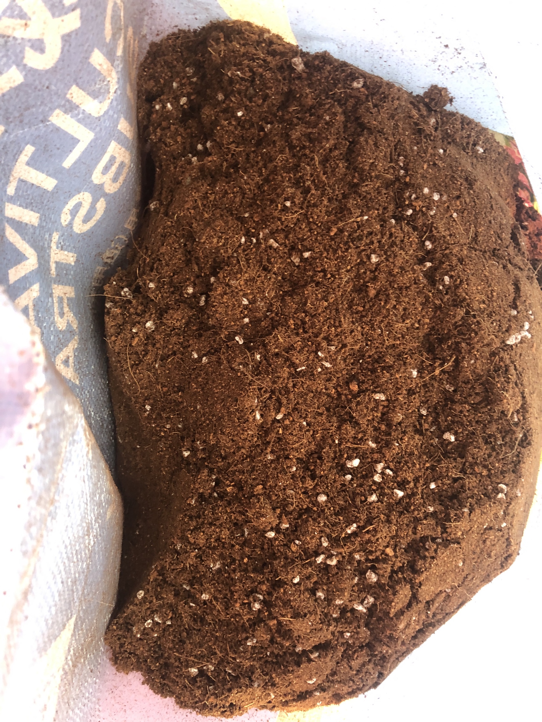 为了这个60㎡院子,买了一楼的房子,打造自己的秘密花园,太美啦