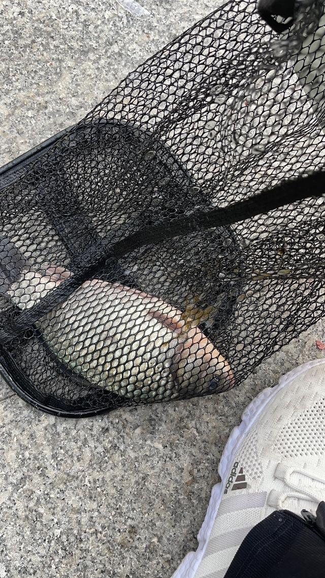 |剑客配良方，新年开门红