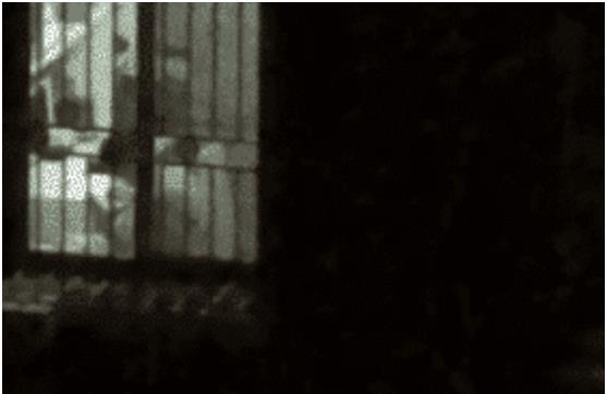 3女租客不穿衣服不拉窗帘，遭房东和邻居投诉，女孩解释：屋太热