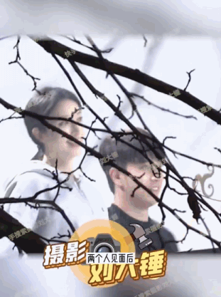 张俪|陈若轩张俪疑似恋情曝光？这互动又戳酒窝又撩下巴的还有点甜