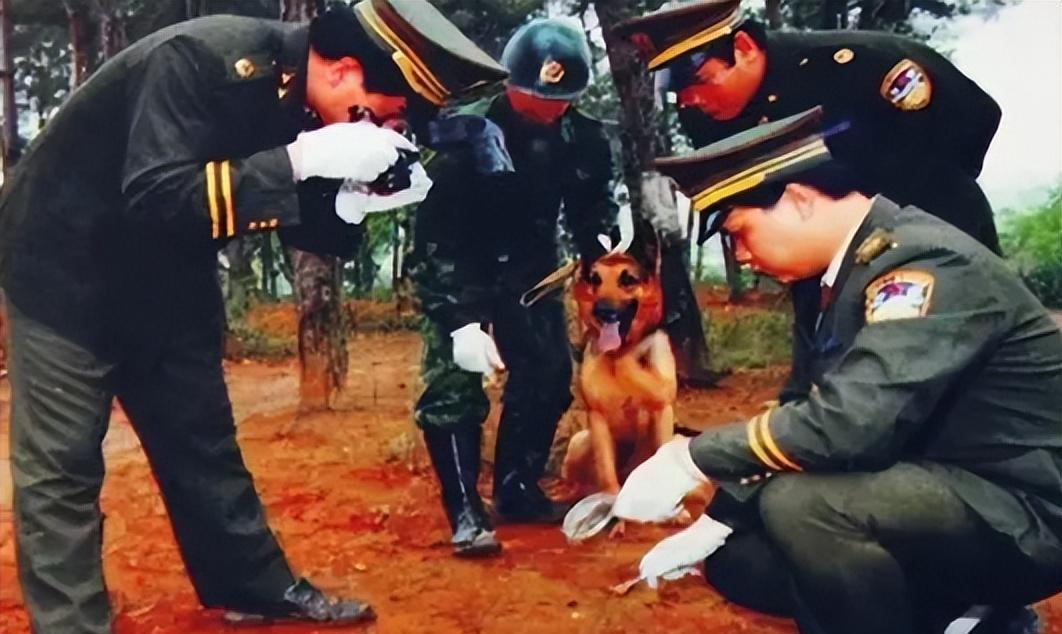 马艳红|东北女魔头马艳红，颜值出众却蛇蝎心肠，如何因一句话多活三年？