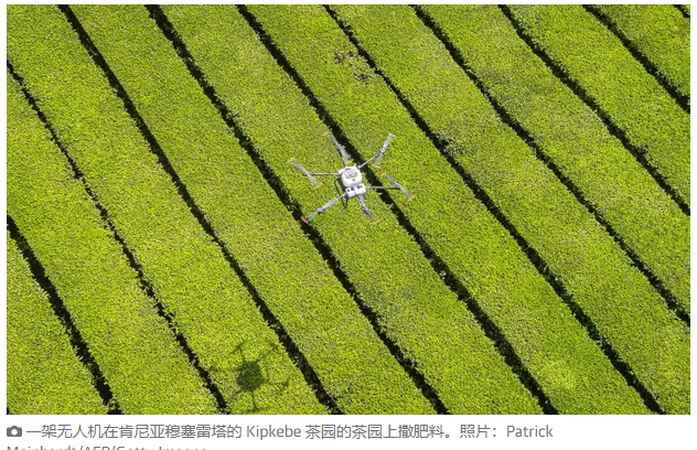 你知道吗?打嗝造成了全球近三分之一的人为甲烷排放