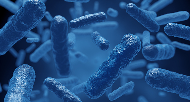 我们生活在一个遍布微生物的世界，为什么却很少生病？