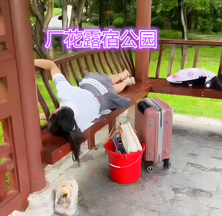 京津冀|女子提桶找工作，要求日薪400，没工作露宿公园，网友：眼高手低