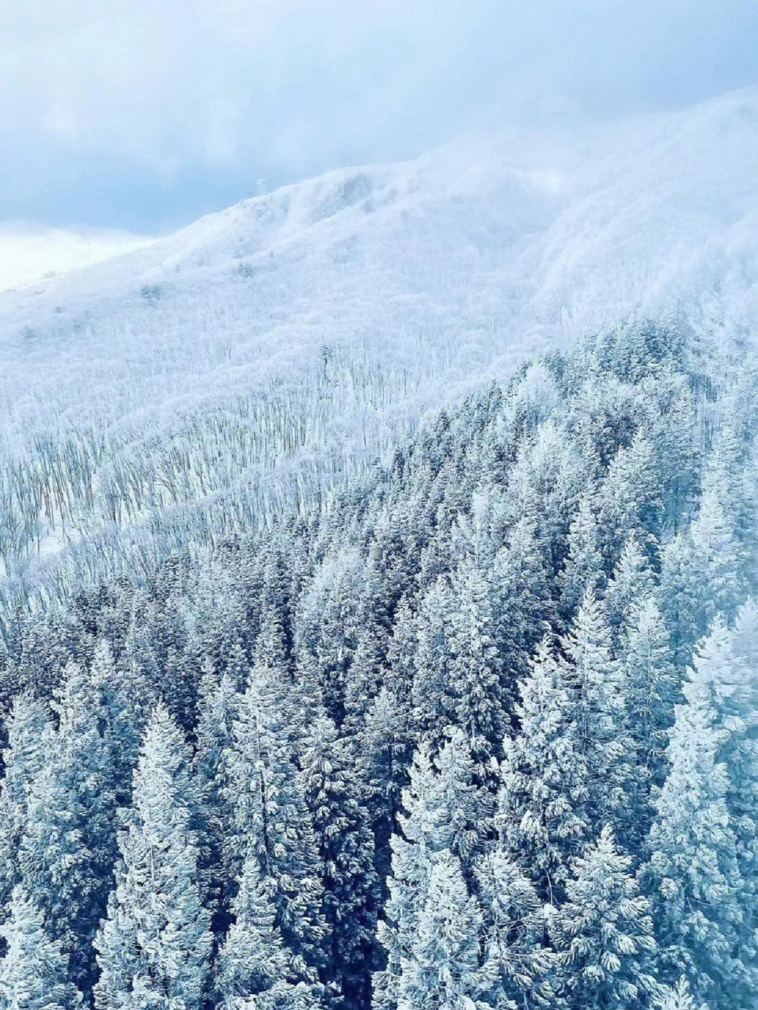 西藏|宁波冬日必去打卡的三个宝藏地方，已经等待第二场大雪的降临