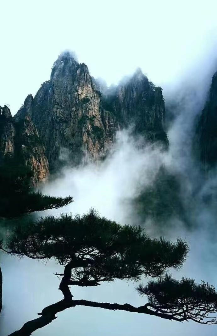 梵净山|六大名山人杰地灵!可惜旅游费用贼高,景色能对得起门票价格吗?