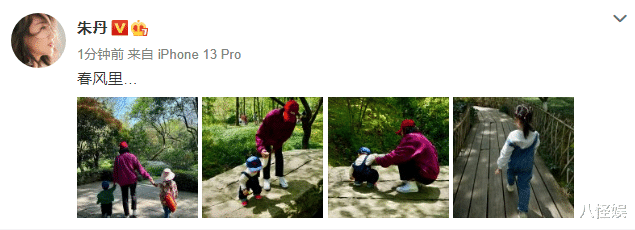 朱丹|朱丹晒周一围视角春游照，手牵儿女漫步，小小围玩树叶好奇心爆棚