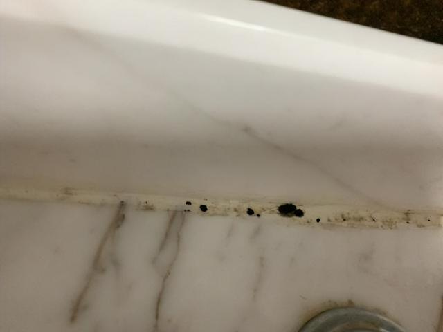 家中墙面都是霉菌怎么办？教你一个小妙招，霉菌自动消失