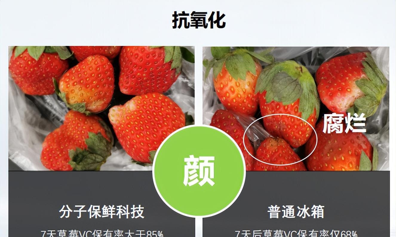 魅族|备受年轻人青睐的饮食健康家电——TCL格物冰箱Q10