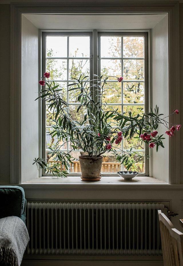 住在独特古老的公寓，过着舒缓的生活，这是梦中想拥有的家