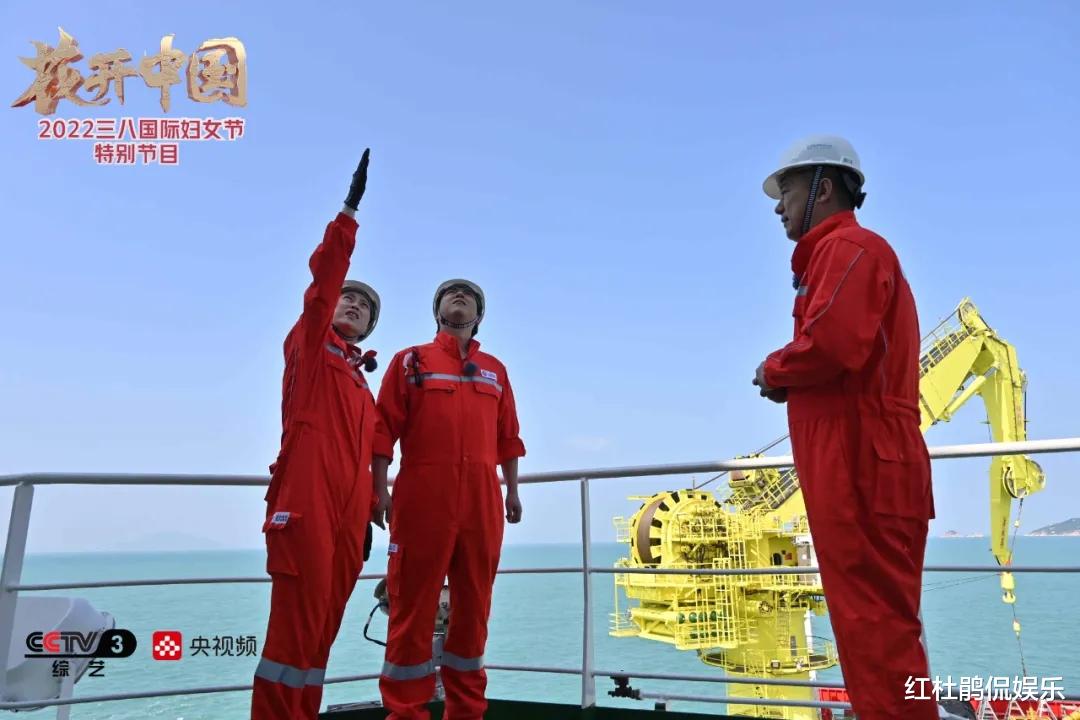 插花|央视三八晚会派出6位主持人的豪华阵容，用插花作品致敬最美的她