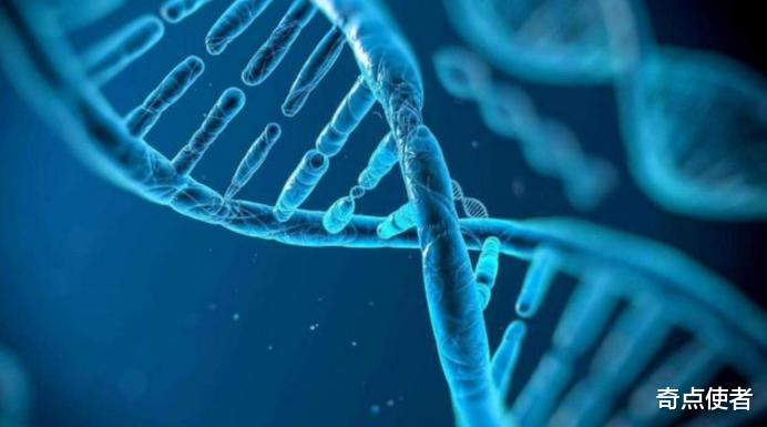 世界最长寿男性去世,差半个月就113岁,科学家称发现“永生”秘密