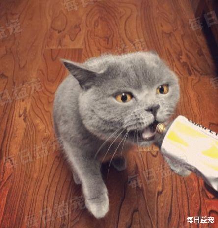 送猫咪去绝育，结果半天没动静，走进手术室一看心碎了！