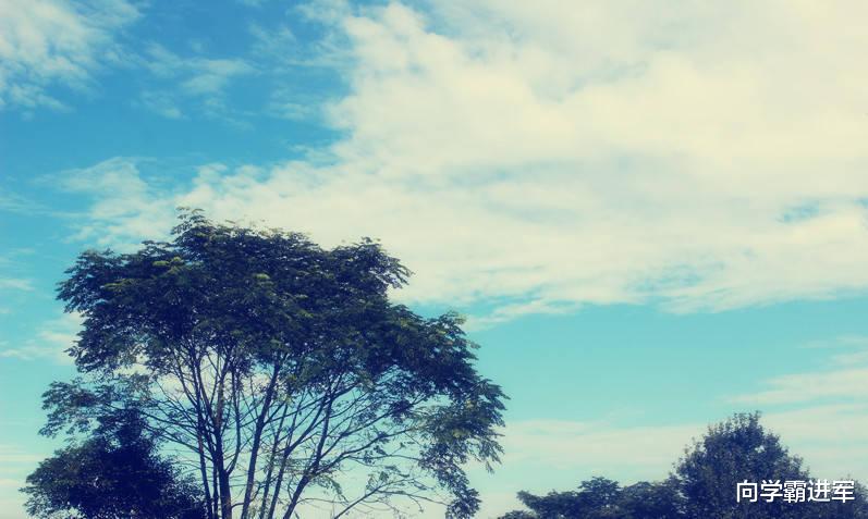 教师|这十大专业看起来像是“冷门”专业,但就业前景其实很好!考生可以参考查阅