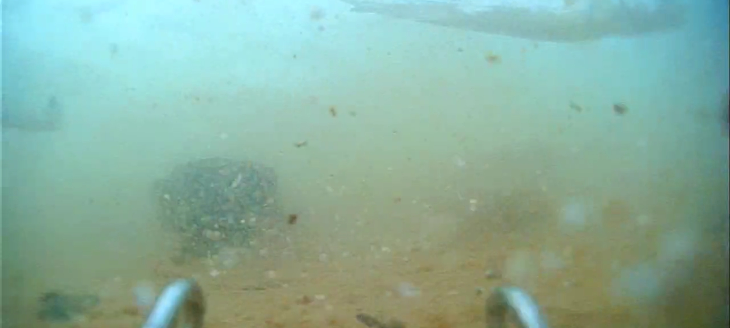 |钓鱼用牛屎打窝有用吗？