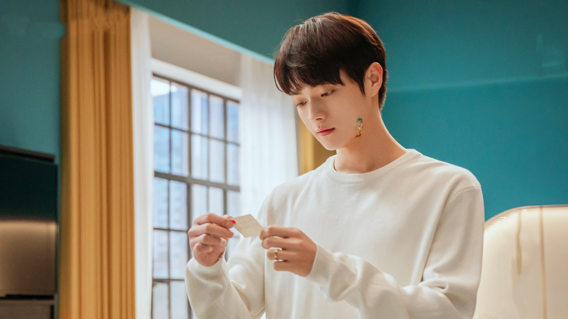 秦施|《爱的二八定律》秦施有多讨喜?职场上的女强人,感情中的小猫咪