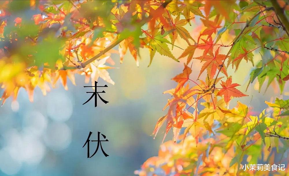 明日末伏，叮嘱家人：食2肉3菜，少吃1味，合理忌嘴，秋冬少生病