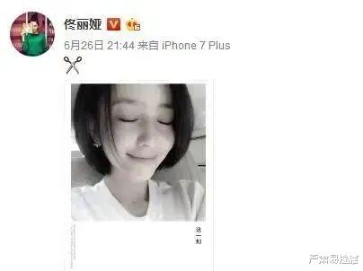 陈思诚|孕期出轨、新欢不断,这都能复婚?