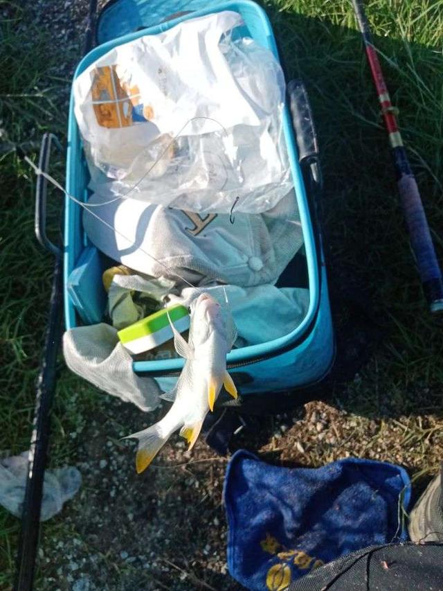 |杂鱼堡的梦想,让鱼获爆了护!