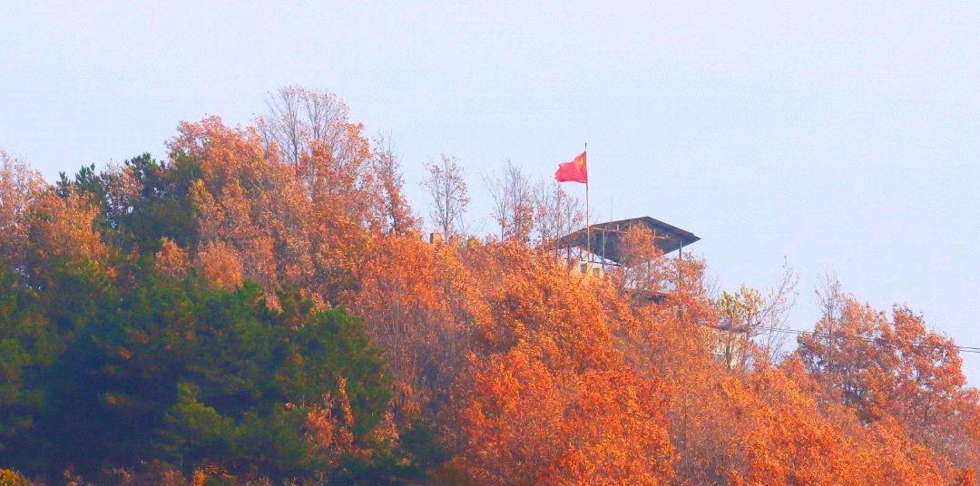 天津市|秋季去哪里玩最好呢?天津十大秋季旅游景点,天津秋色最美的地方
