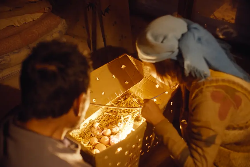 马有铁|《隐入尘烟》中,马有铁是人也是“驴”,侄子手里的东西胜过亲情