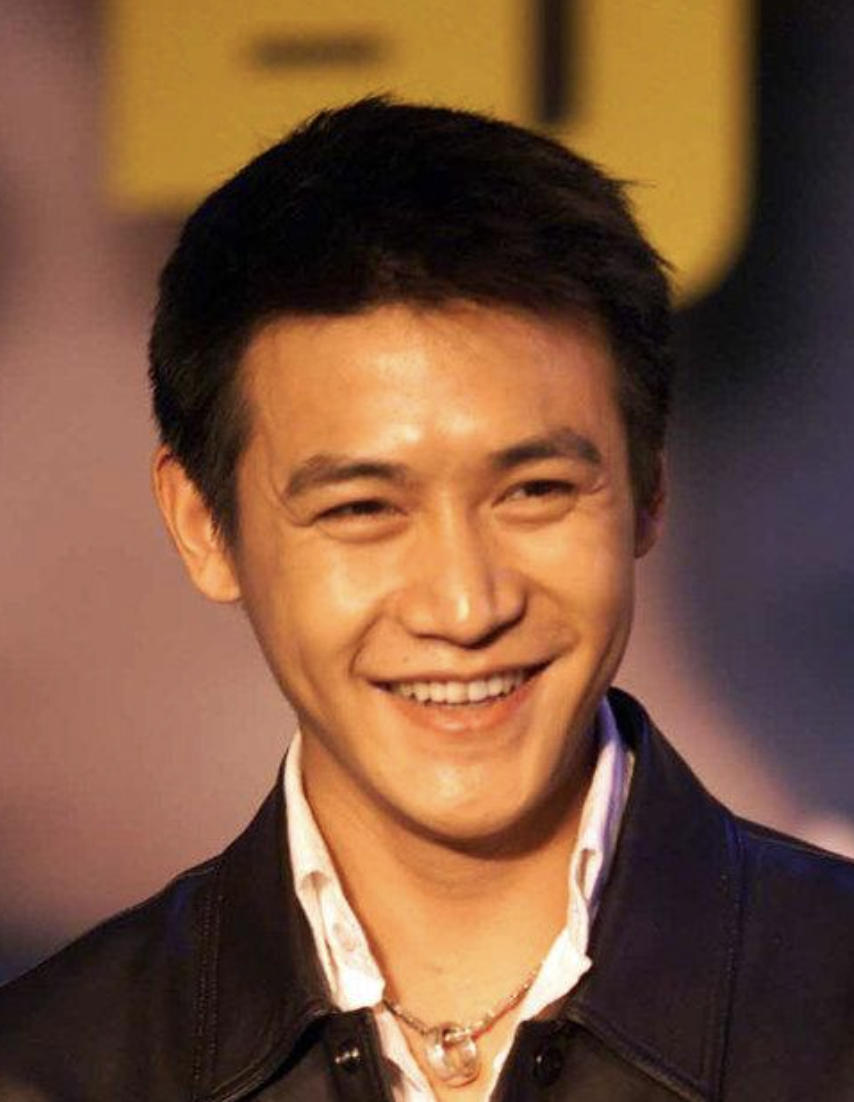 陆毅|走到现在,46岁的陆毅,终究没有唐国强的命,也没有刘德华的运