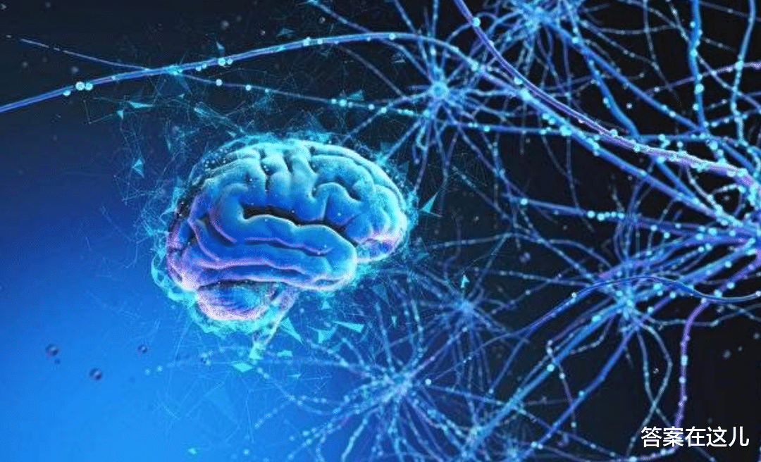 电影|什么是“缸中之脑”？我们怎么确定，自己并非活在电脑程序中？