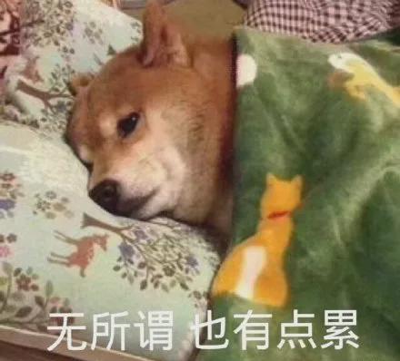 金晨|金晨的胸椎都弯成括号了，网友的注意力却全在她故意遮掩假体？