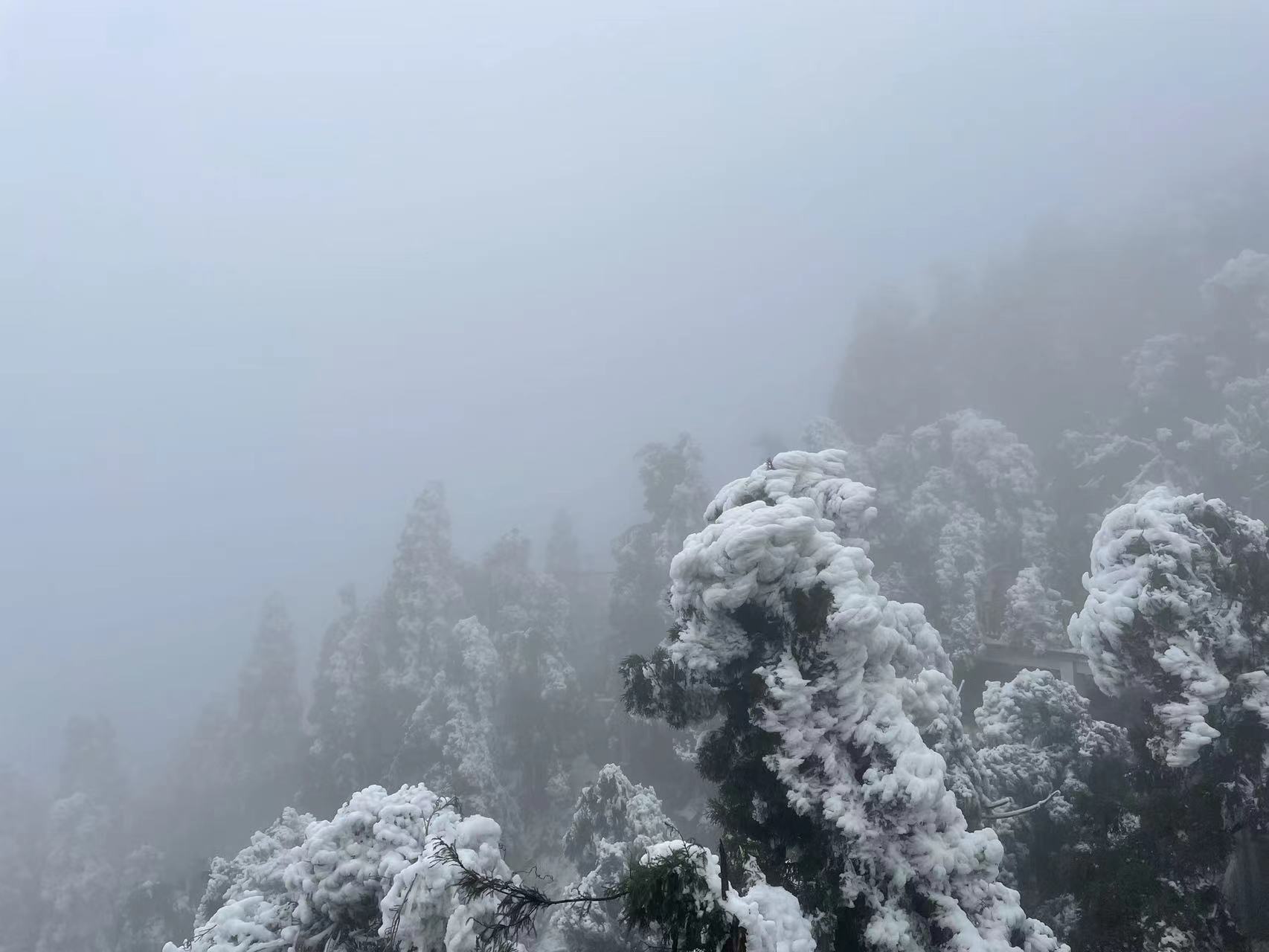 “我思故我在”是个伪命题,看看大脑是怎么通过“思考”折磨你的