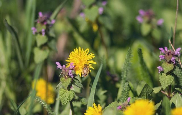 家政业|2023年初：坚持踏实努力的人，必将会时来运转