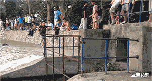 “进公司第一天,开饭半小时,没人动筷子!”