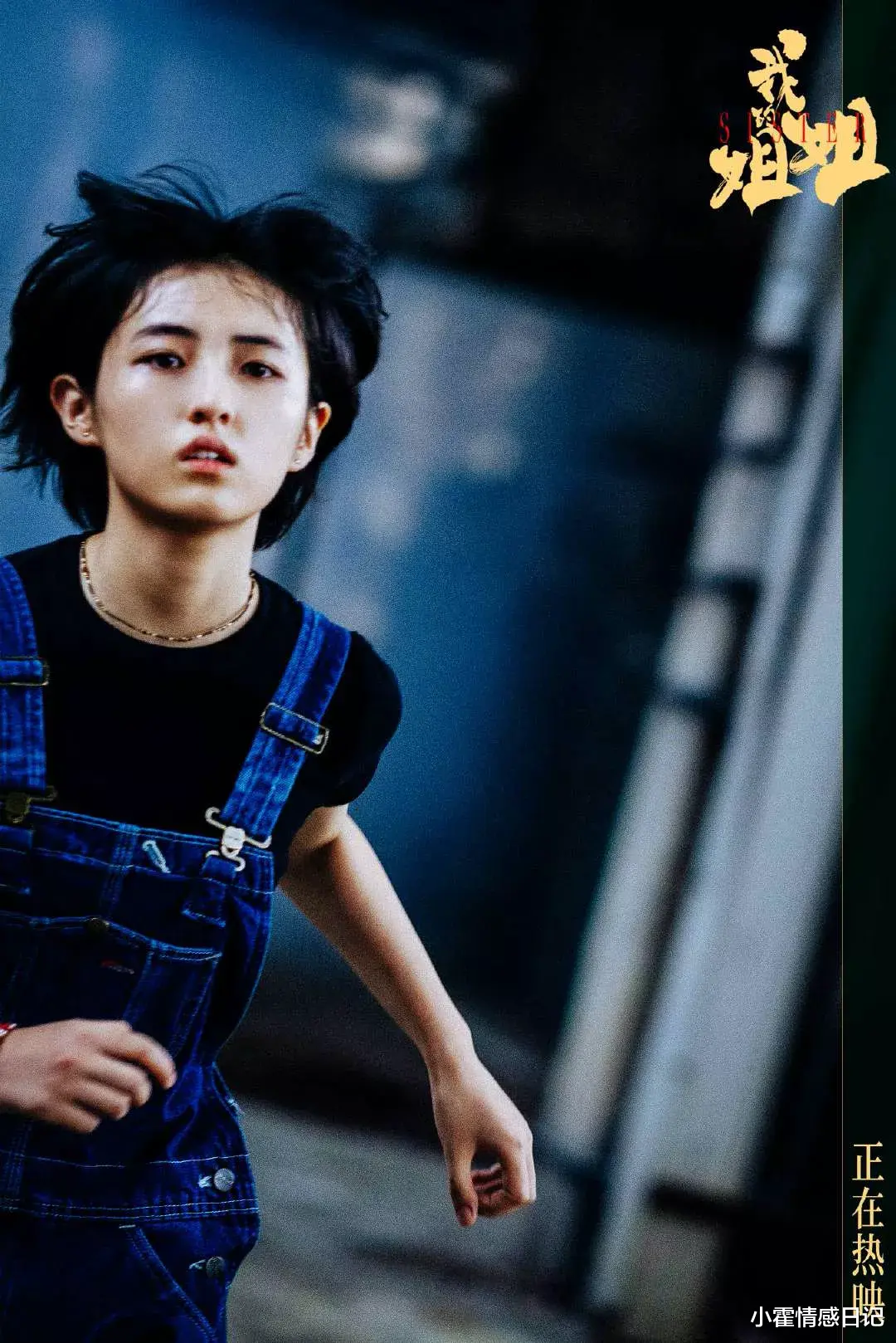 王丽坤|人畜无害的张子枫怎么成了姬圈天菜