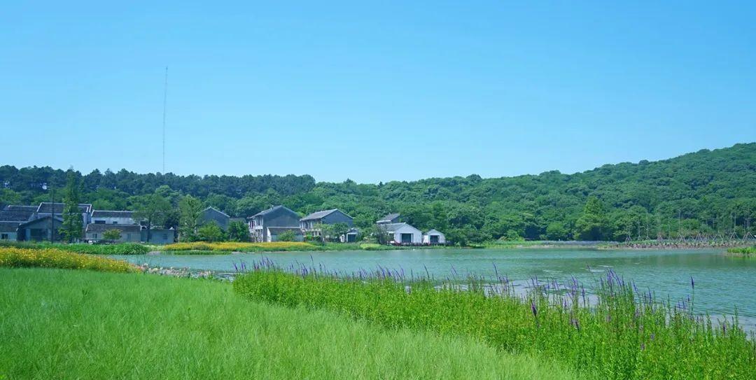 苏州|魔都周边最孤独的小岛，仅1%国人知道