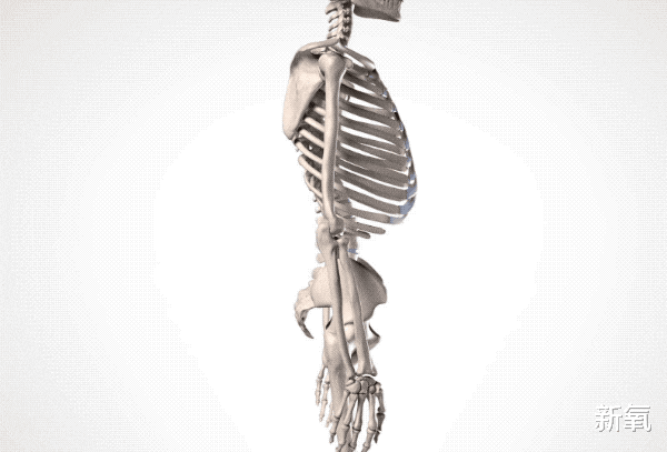 裴秀智 韩国淡颜美女冲上热搜,这是什么蜜汁传承吗?