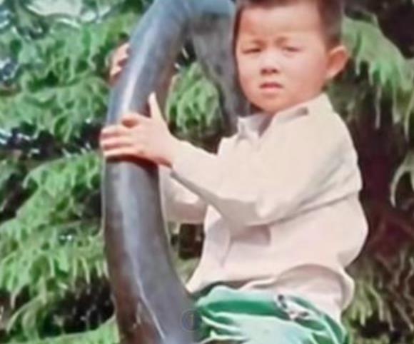 姚策|28事件姚威处境尴尬，田静曾怀疑姚威与老杜关系，猜测其不是亲生