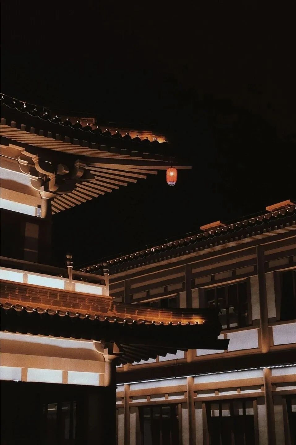 洛阳|中国唯一上榜!2023全球最佳旅行地出炉,低调的它终于被世界看到