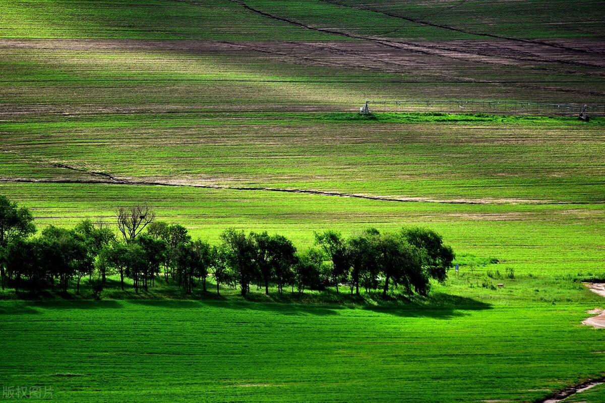 |郭进拴|绝美的坝上