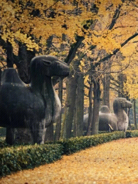 苏州|分享我秋天最爱的6个城市