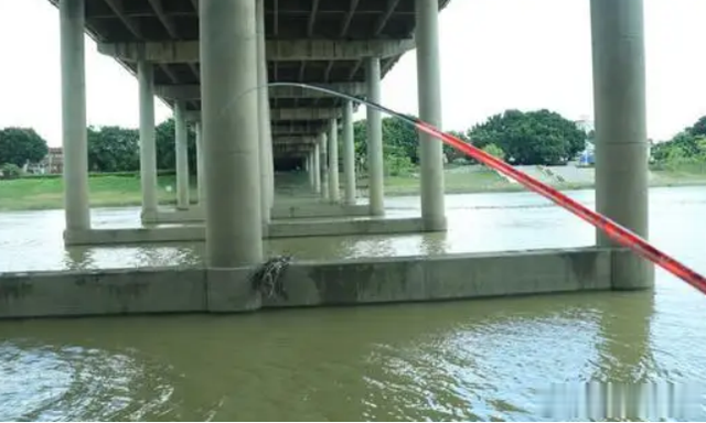 |盛夏天热鱼也热，野钓打窝很关键，找对方式才是爆护的前提