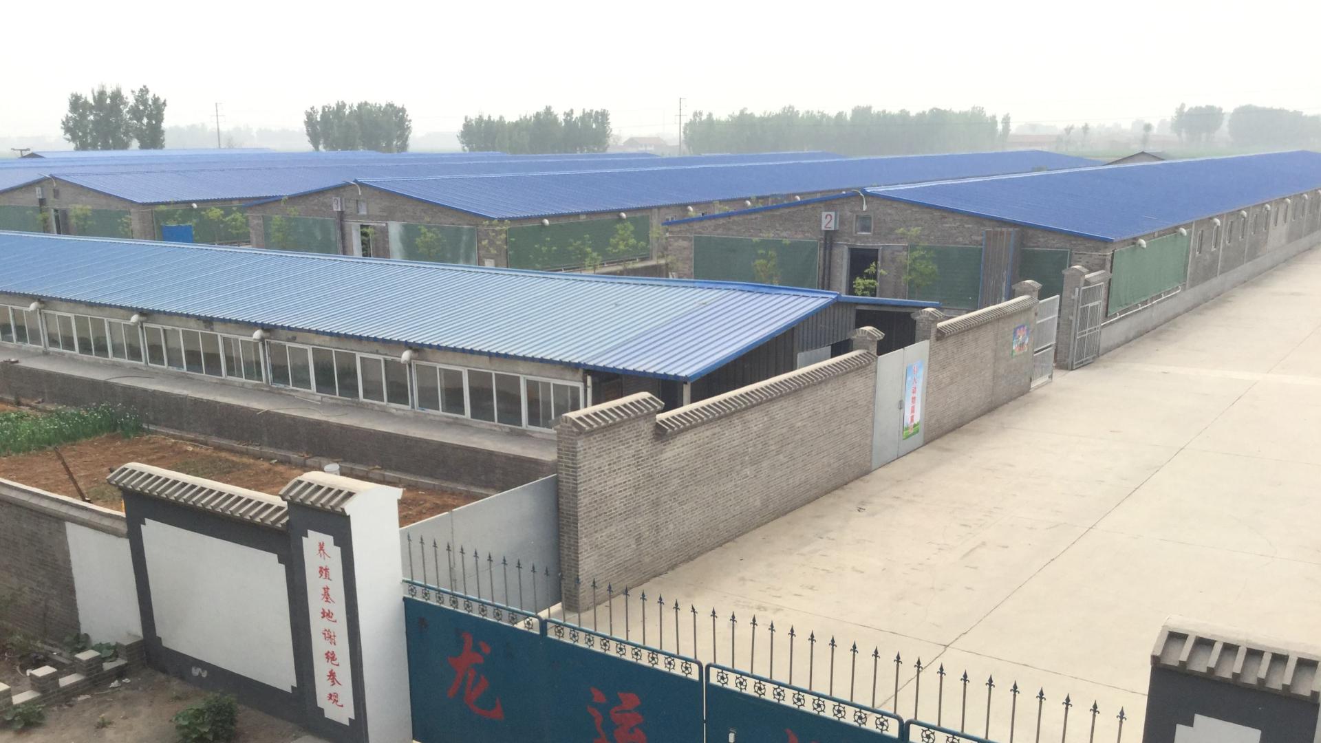 当初学了动物科学专业，现在后悔不已