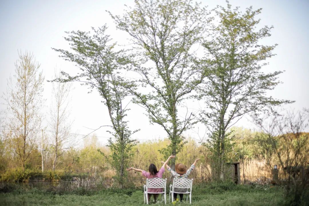 职场故事|告别职场焦虑，她逃到农场拍野花；3年拍了上千张，把爱好修成主业