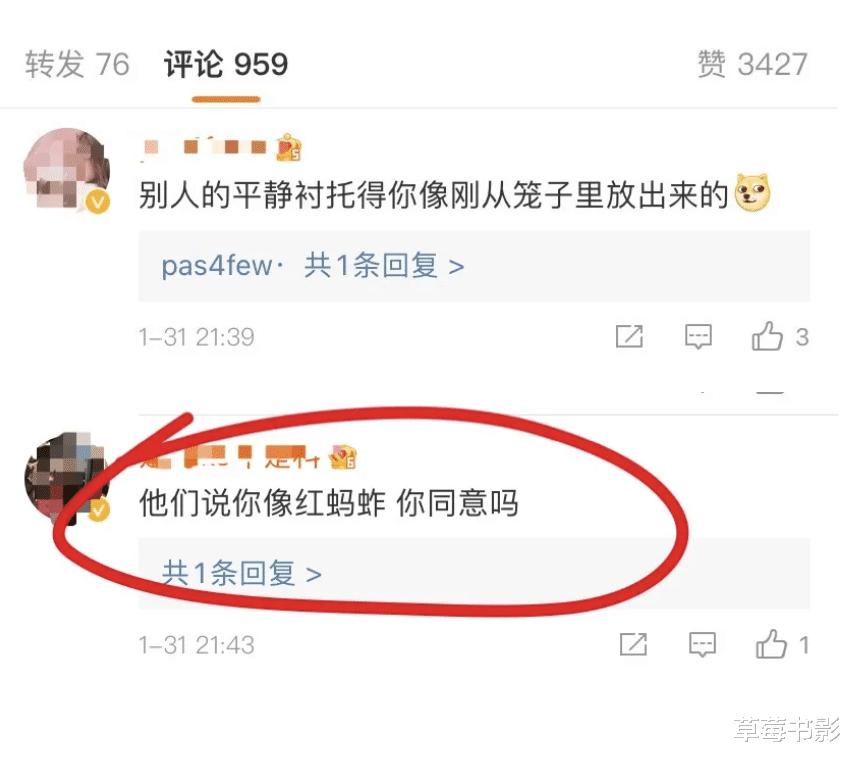 春晚|今年春晚，我还是没等到他